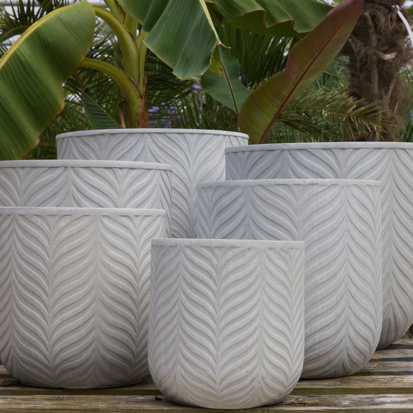 Patterned Fern Planter - Ivory