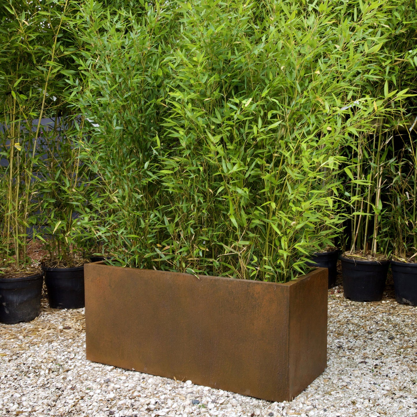 Corten Effect Trough