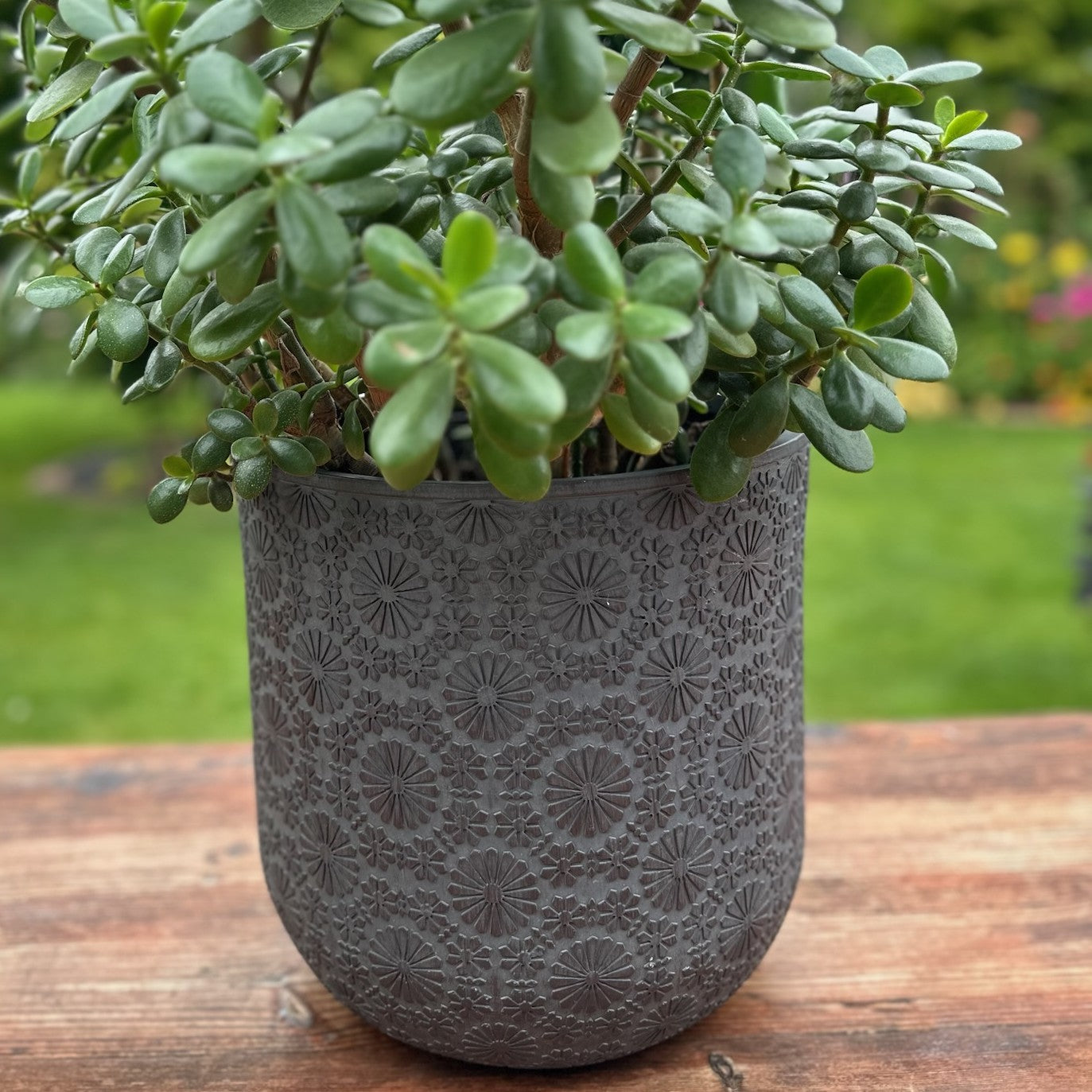 Patterned Flower Planter - Dark Grey - Stonelite / Fibreclay