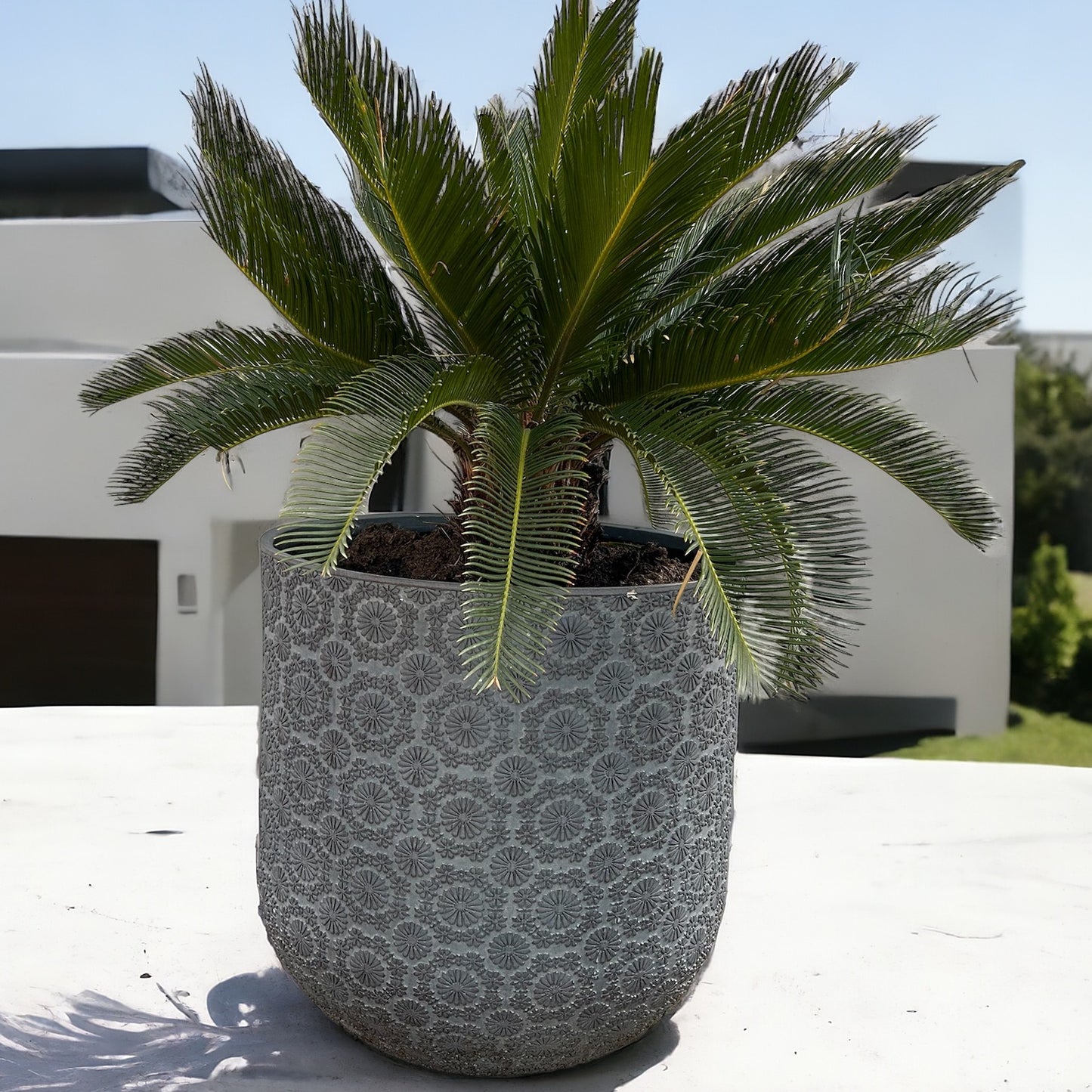 Patterned Flower Planter - Dark Grey - Stonelite / Fibreclay