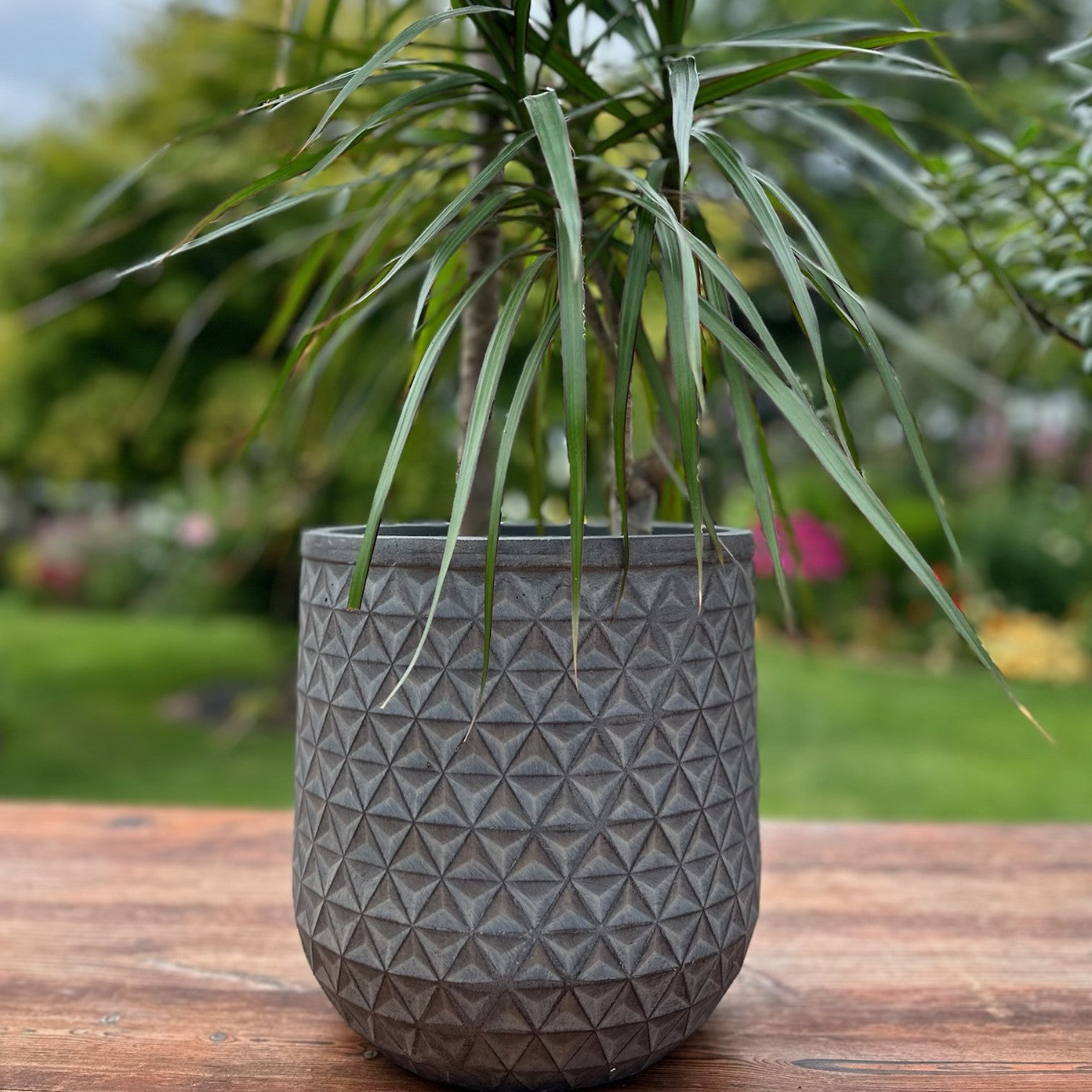 Patterned Geometric Planter - Dark Grey - Stonelite / Fibreclay