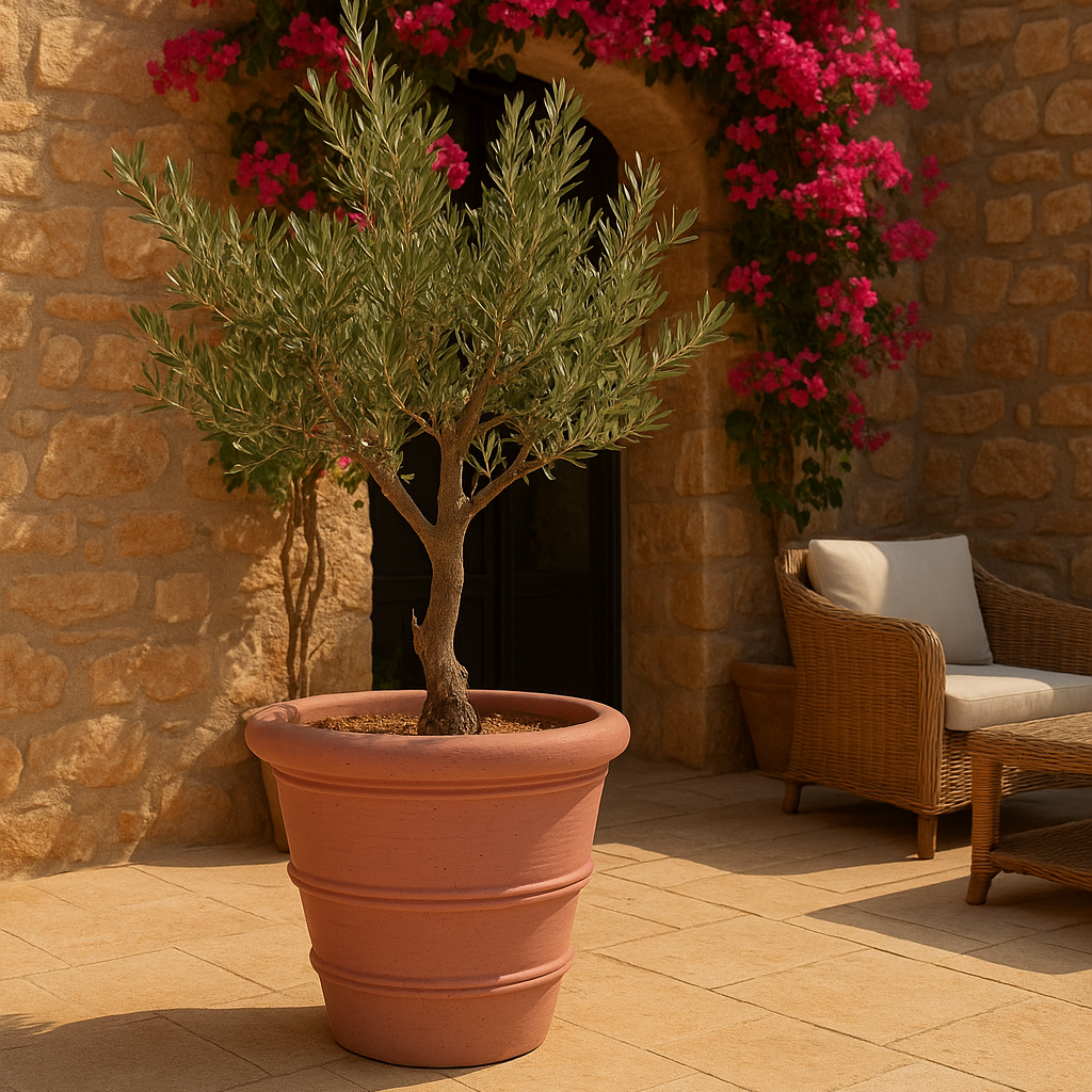 Terracotta Lined Pot