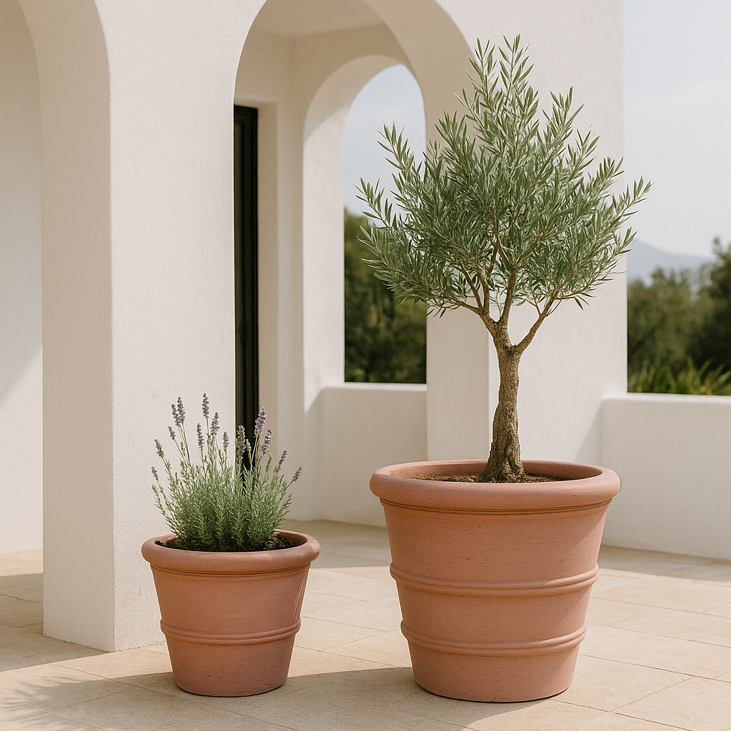 Two terracotta pots with plants on a patio with white arches and a clear sky.