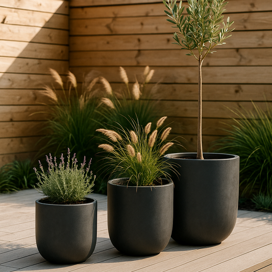 Three potted plants on a wooden deck with a wooden fence in the background