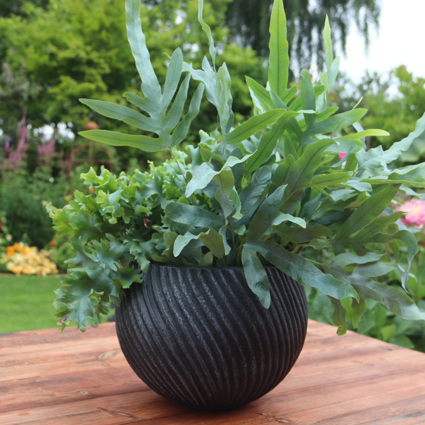 Swirl Bowl Planter