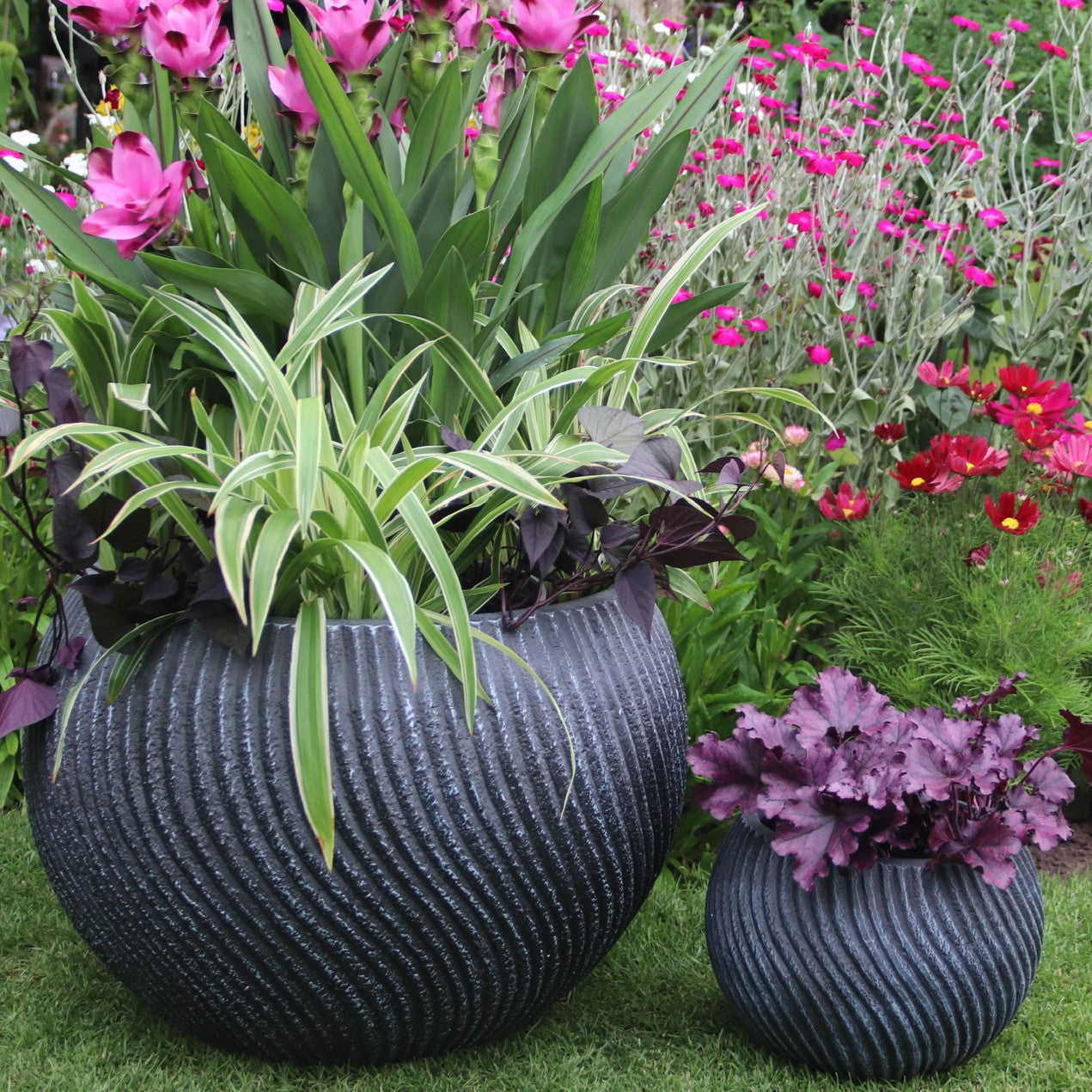 Swirl Bowl Planter