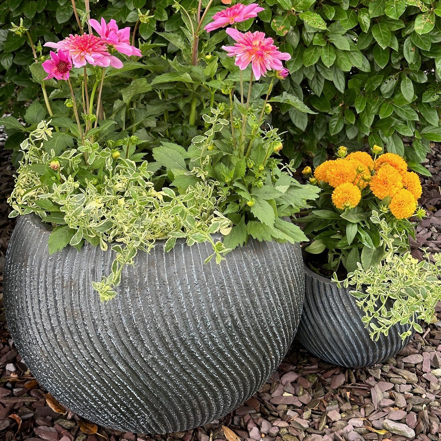 Swirl Bowl Planter