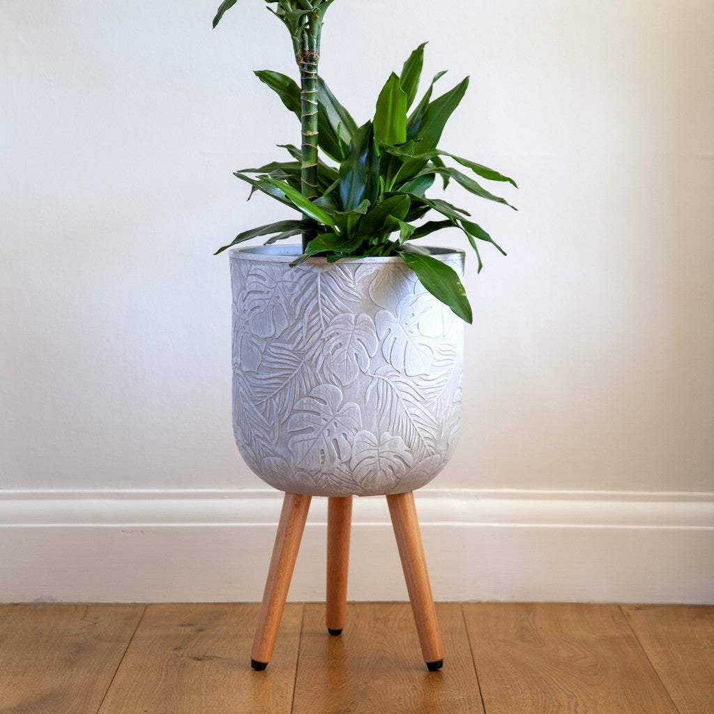 Tropical Indoor Planter on Legs - White